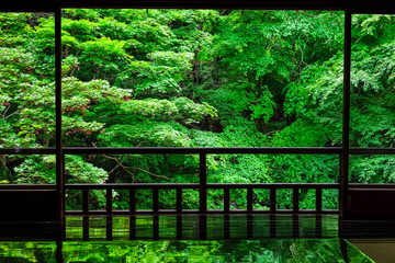 新緑の京都　瑠璃光院