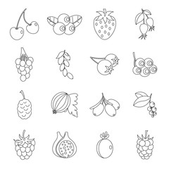 Berries icons set, Outline style