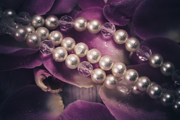 
Eine Perlenkette liegt auf Rosenblättern