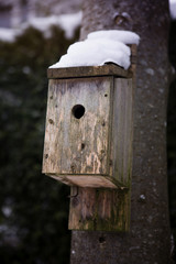 wooden bird house covered in snow