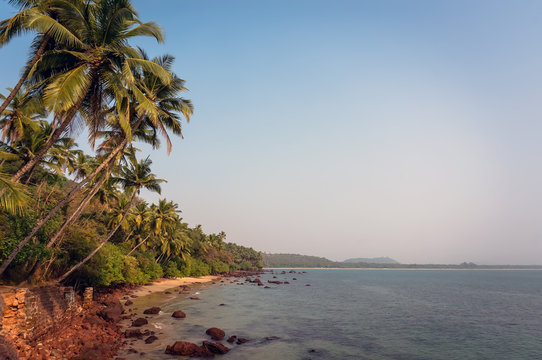Beautiful view of beach near ocean and palm trees in goa, India