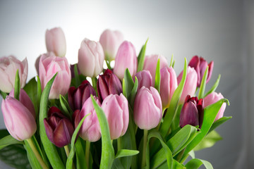 Tulpen Blumenestrauß