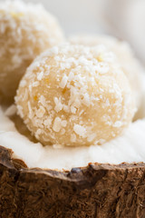 Raw Vegan Coconut and Lemon Truffles in the Coconut Shel