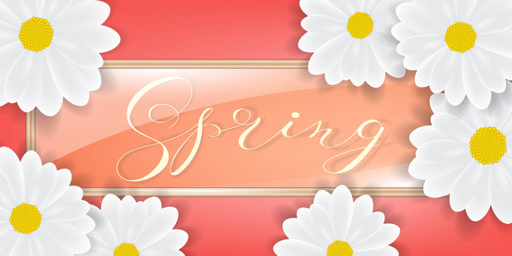bouquet of white daisy or gerber flowers background. Spring or summer background, glass frame,