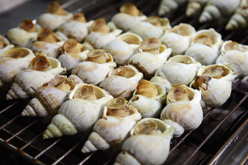 Shellfish at night market 