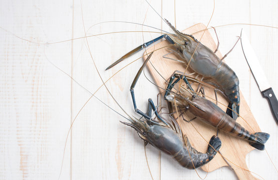 Giant river prawn on wood , top view