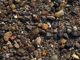 砂浜に打ち上げられた小石