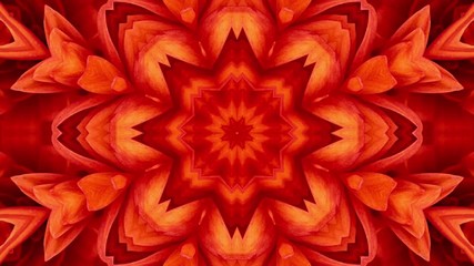 Abstract red flower pattern background. Seamless Loop. Kaleidoscope.