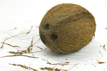 coconut pulp fresh tropical brown white organic coconut milk