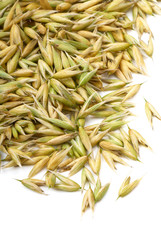 Seeds of oats