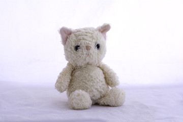 Cat Dolls on white background.