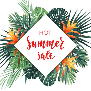 Bright summer sale design with tropical plants, palm leaves and guzmania flowers.