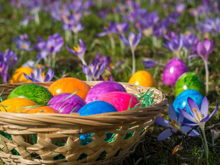 farbenfrohes Osterfest Osterkorb