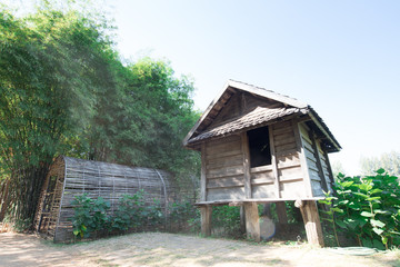 Small hut with tropical green in thailand