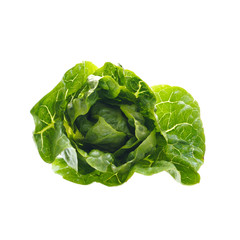 Grüner Salat | freigestellt