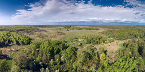 Fototapeta na wymiar Field overgrown with forest. View from a height. Sunny day. Yaroslavl Region, Russia