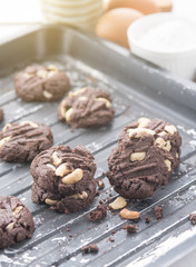 Delicious chocolate cookies with nuts on a baking tray