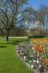 Obraz premium Amazing landscape with colorful flower beds and flower patterns in the park Keukenhof, Holland, Europe.