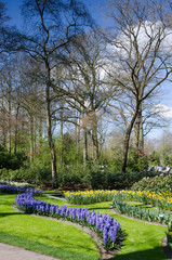 Amazing landscape with colorful flower beds and flower patterns in the park Keukenhof, Holland, Europe.