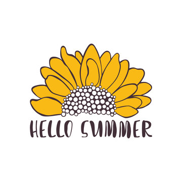 Hello summer. Sunflower. Isolated vector object on white background.