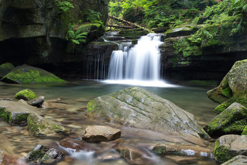 Waterfall in the forest		