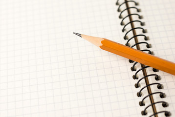 Pencil on the pages of an open notebook for records