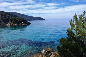 Pauline's beach in Elba island with its rock