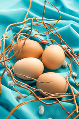 4 eggs in a willow nest
