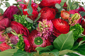 Ranunkulyus bouquet of red flowers on a white background