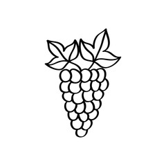 grape fruit icon over white background. vector illustration