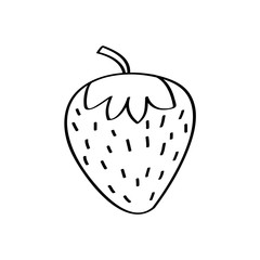 strawberry fruit icon over white background. vector illustration