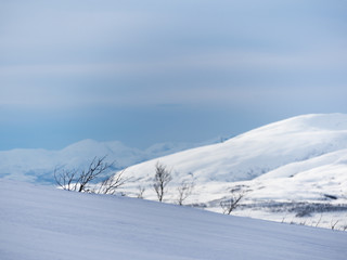 Fototapeta na wymiar Mountain in Tromso