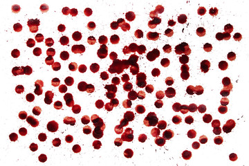 isolated red drops of human blood on a white background.