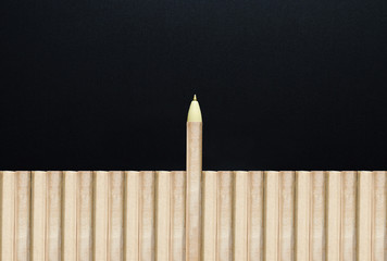 pencil and pencil with head pen. possible concept. the difrent thinking.