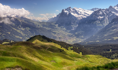 Obraz premium Grindelwald Switzerland - Swiss Alps