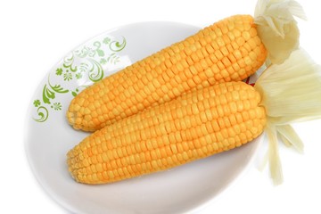 corn boiled closeup on a plate on white background