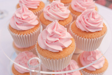 Cupcakes with pink cream