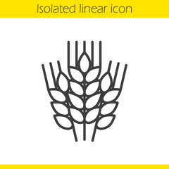 Wheat ears linear icon