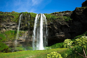 Famous waterfall Seljalandsfoss, Iceland.