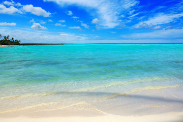 Tropical beach with palms and Caribbean sea .