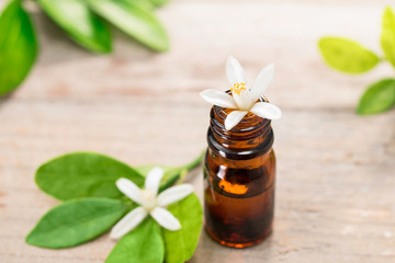 neroli essential oil in the brown glass bottle, with fresh white neroli flower and green leaves.