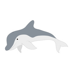 Cute dolphin vector illustration isolated on white