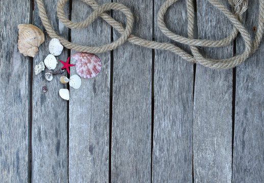Seashells, star and old rope