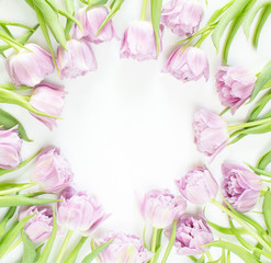 Obraz na płótnie Canvas Spring flowers on white background. Pink tulips.