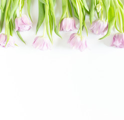 Spring flowers on white background. Pink tulips.