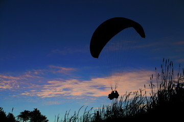 Parapente
