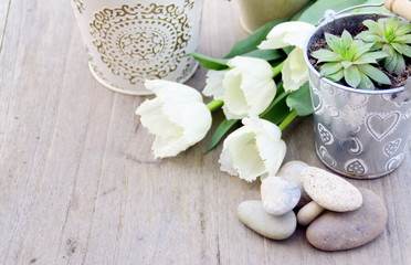 tulipes blanches,myosotis,et succulentes  
composition de printemps