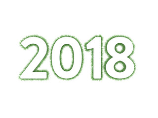 New Year 2018 - 3D Rendered Image