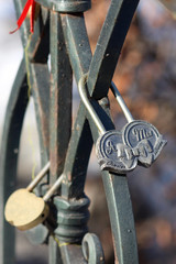 Metal fence with wedding locks