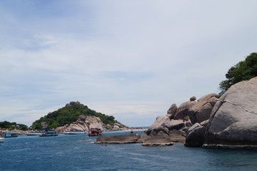 Koh Tao Meer Sea Tauchen
